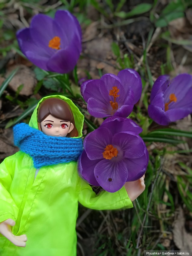 Шарлин в стране цветов — Разные шарнирные куклы (не БЖД): редкие (фото 7)