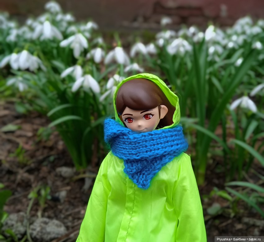 Шарлин в стране цветов — Разные шарнирные куклы (не БЖД): редкие