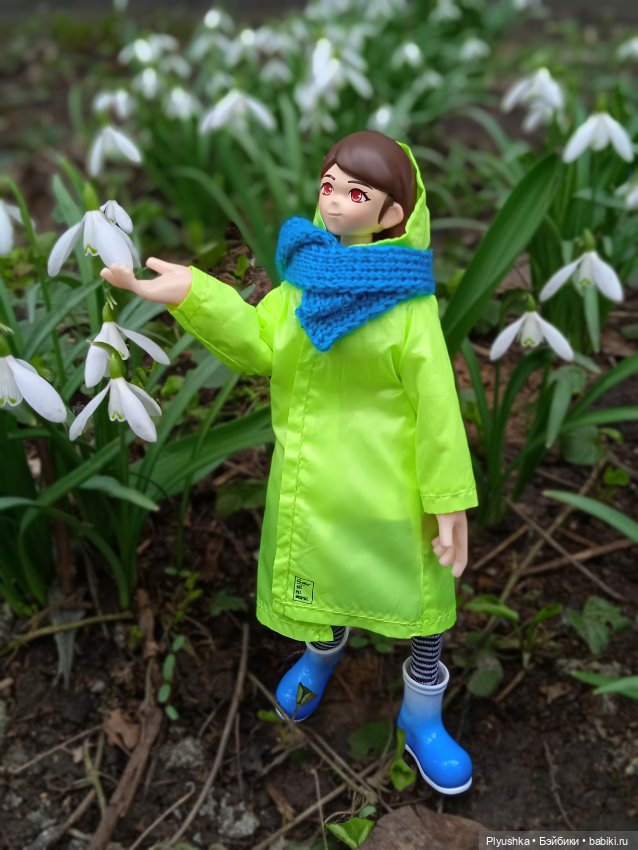 Шарлин в стране цветов — Разные шарнирные куклы (не БЖД): редкие (фото 3)