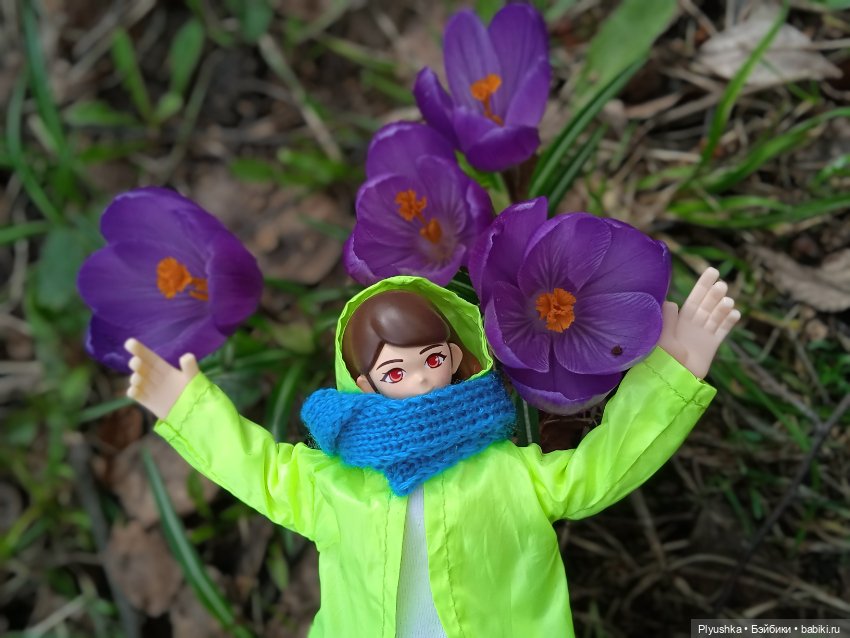 Шарлин в стране цветов — Разные шарнирные куклы (не БЖД): редкие (фото 8)