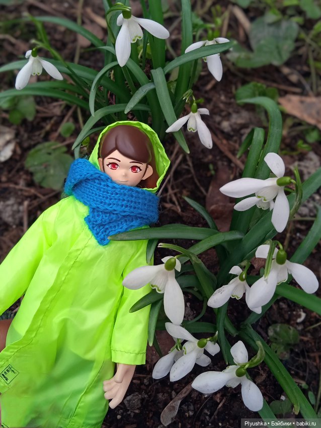 Шарлин в стране цветов — Разные шарнирные куклы (не БЖД): редкие (фото 6)