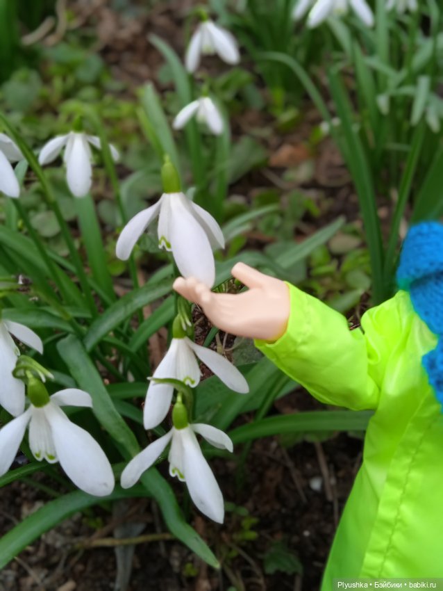 Шарлин в стране цветов — Разные шарнирные куклы (не БЖД): редкие (фото 2)