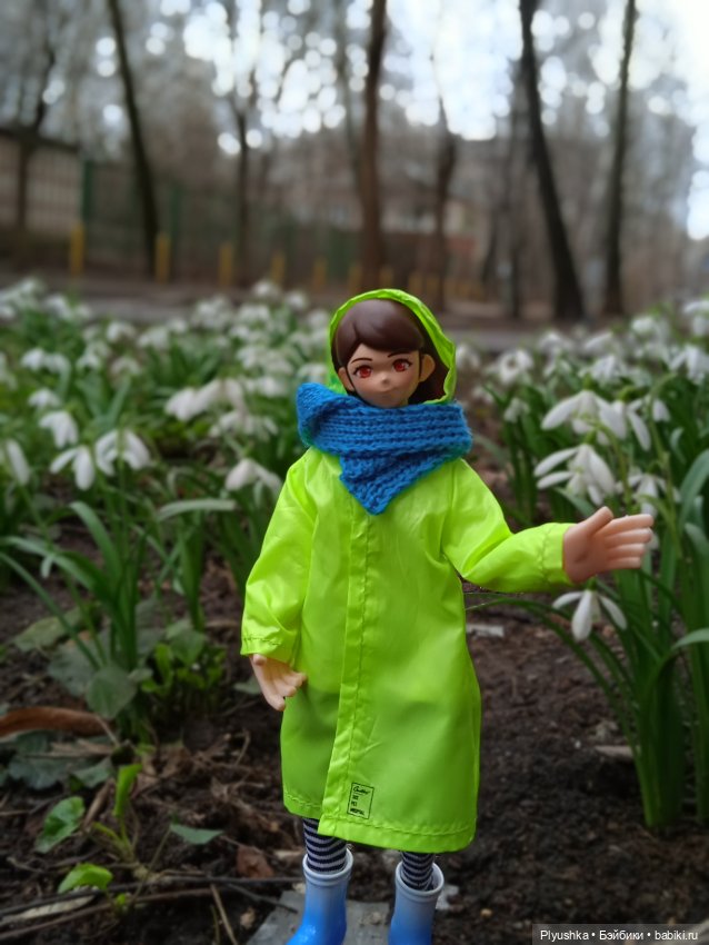 Шарлин в стране цветов — Разные шарнирные куклы (не БЖД): редкие (фото 5)