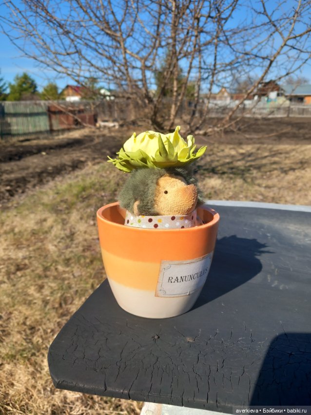 Ежевика Цветочек ранункулюс (фото 8)