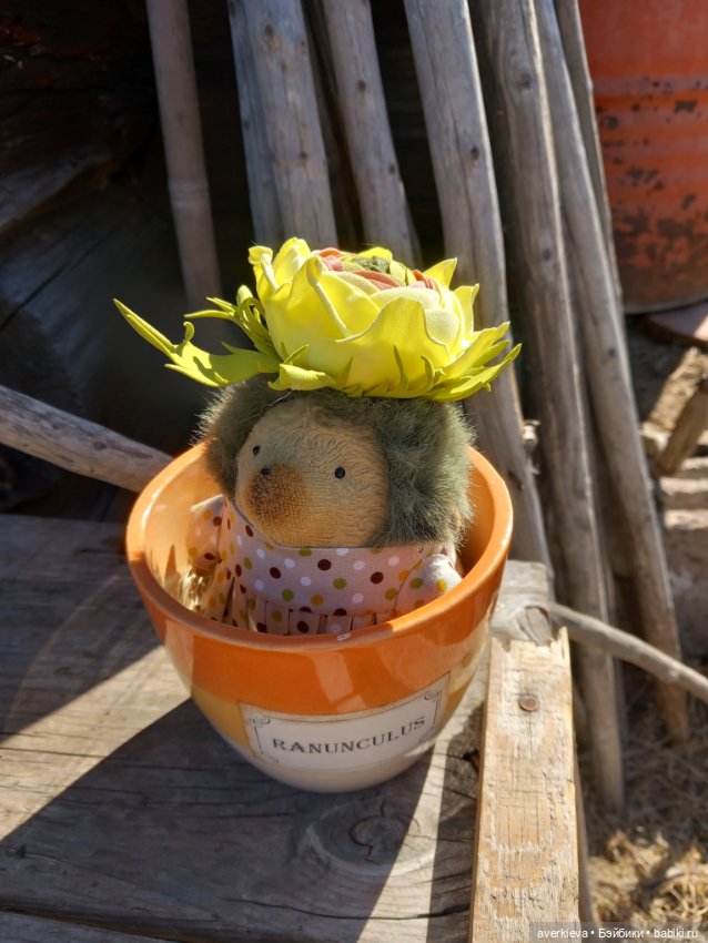 Ежевика Цветочек ранункулюс