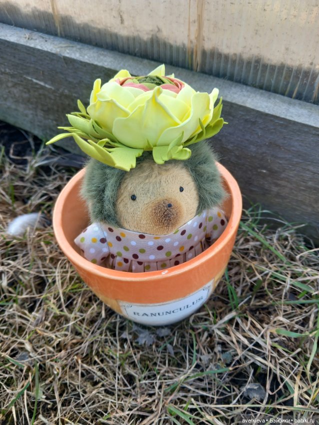 Ежевика Цветочек ранункулюс (фото 9)