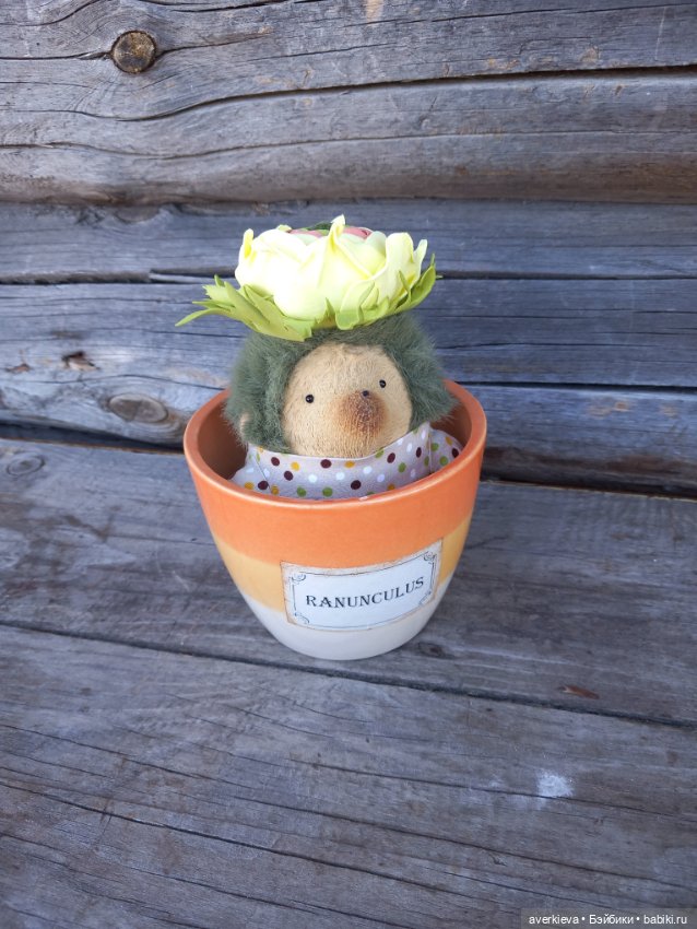 Ежевика Цветочек ранункулюс (фото 7)