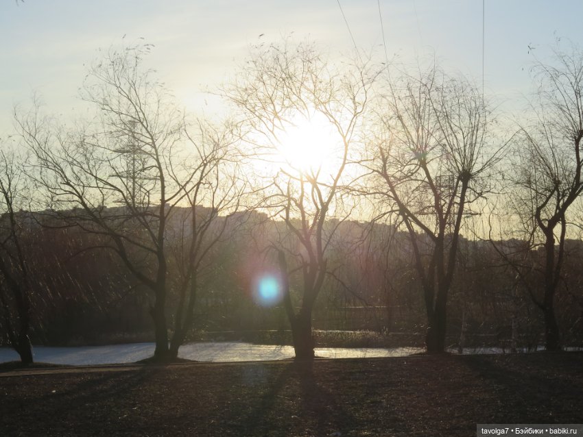 Triniti Dolls Иветта — Куклы Dyvomir (Дивомир) и Trinity (Тринити): российские шарнирные куклы