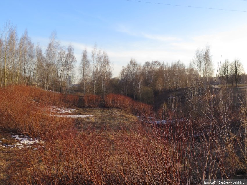 Triniti Dolls Иветта — Куклы Dyvomir (Дивомир) и Trinity (Тринити): российские шарнирные куклы (фото 9)