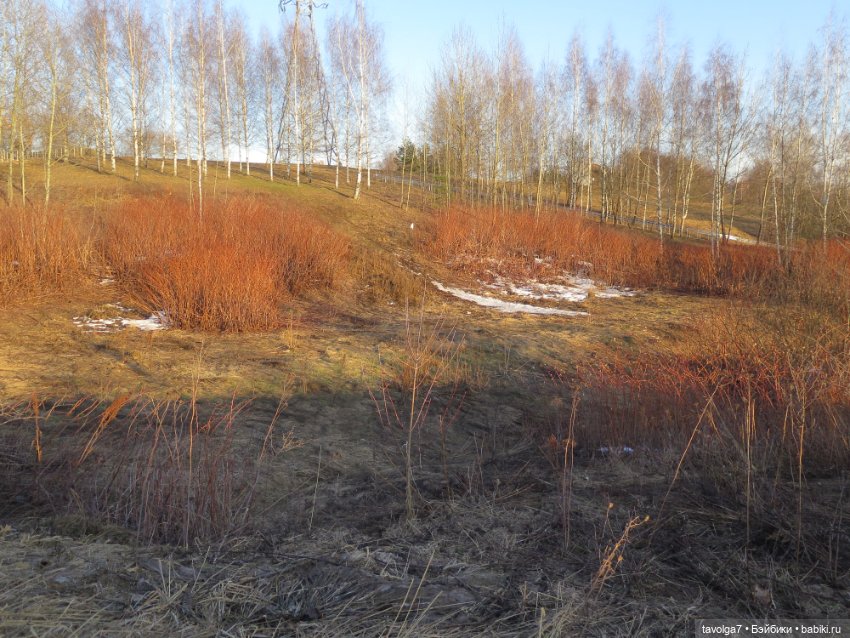 Triniti Dolls Иветта — Куклы Dyvomir (Дивомир) и Trinity (Тринити): российские шарнирные куклы