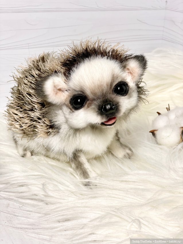 Sniff — Реалистичные игрушки и звери (Натюр): собаки