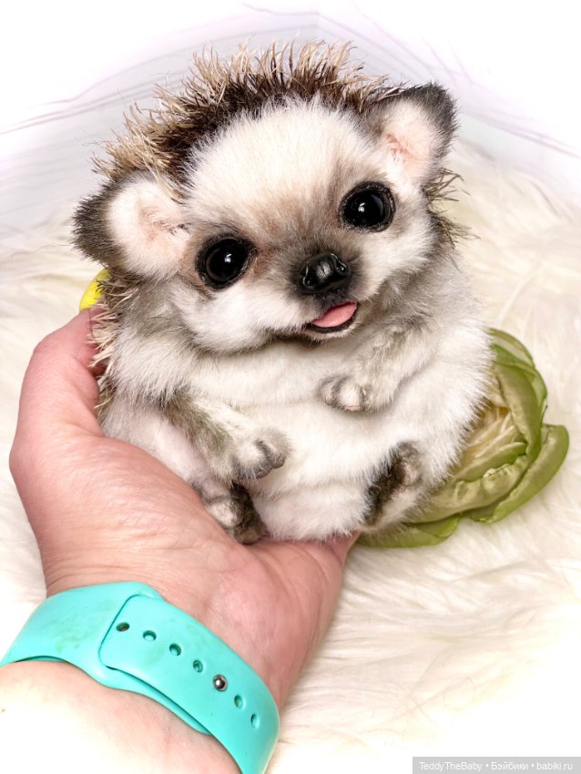 Sniff — Реалистичные игрушки и звери (Натюр): собаки