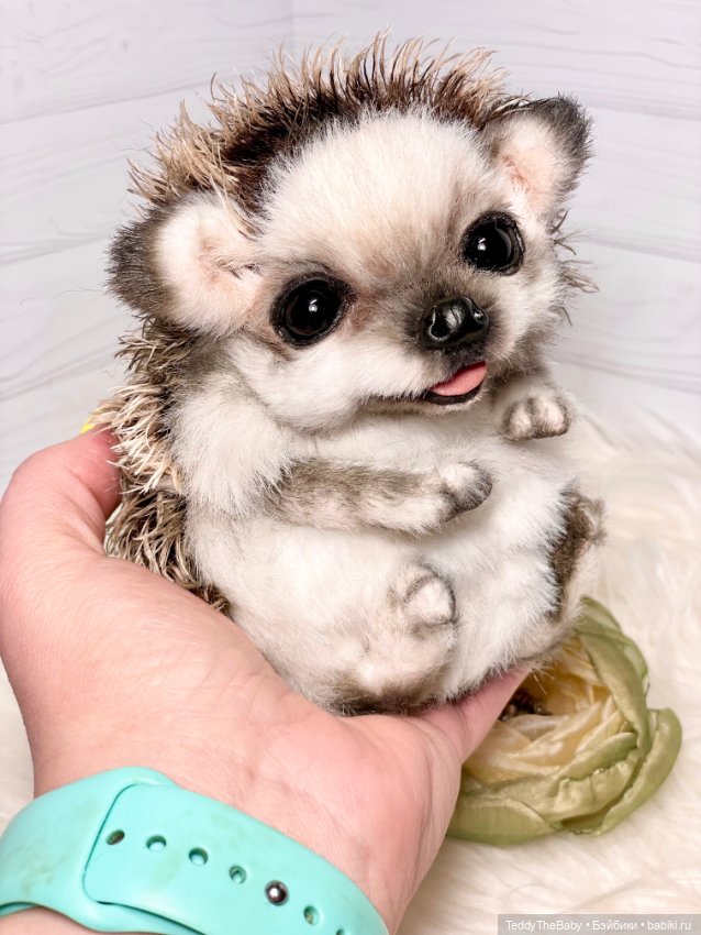 Sniff — Реалистичные игрушки и звери (Натюр): собаки