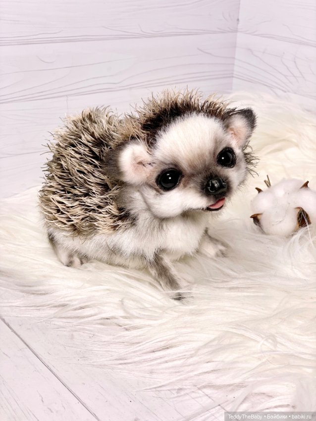 Sniff — Реалистичные игрушки и звери (Натюр): собаки