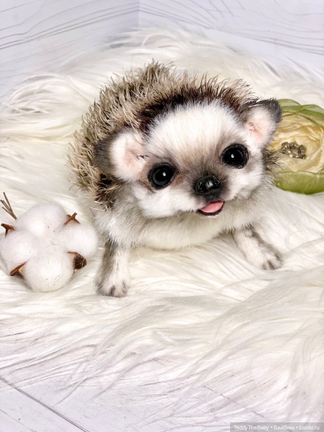 Sniff — Реалистичные игрушки и звери (Натюр): собаки