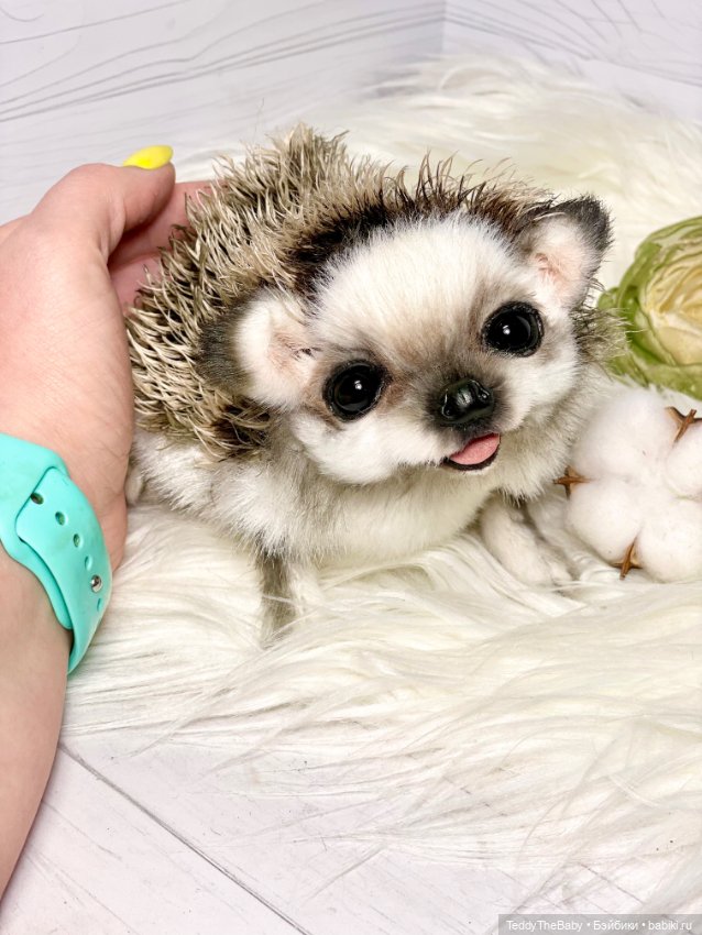 Sniff — Реалистичные игрушки и звери (Натюр): собаки (фото 5)