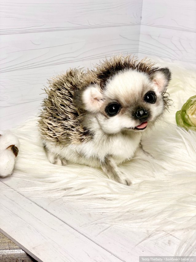 Sniff — Реалистичные игрушки и звери (Натюр): собаки