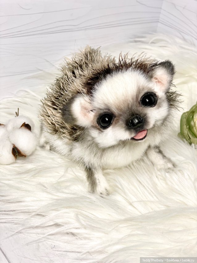 Sniff — Реалистичные игрушки и звери (Натюр): собаки (фото 10)