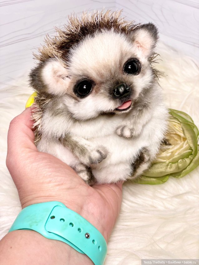 Sniff — Реалистичные игрушки и звери (Натюр): собаки