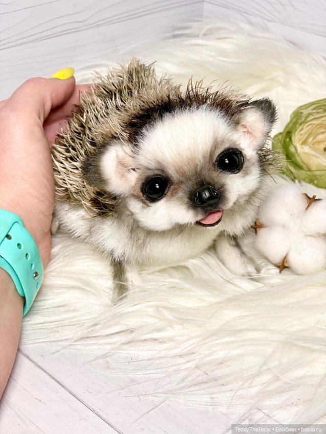 Sniff — Реалистичные игрушки и звери (Натюр): собаки (фото 4)