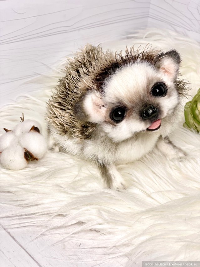 Sniff — Реалистичные игрушки и звери (Натюр): собаки (фото 9)