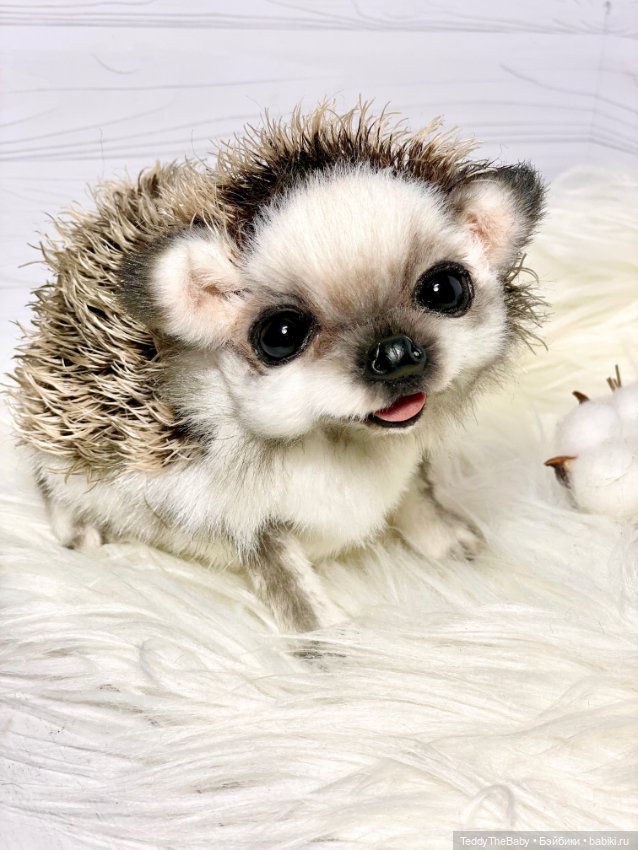 Sniff — Реалистичные игрушки и звери (Натюр): собаки