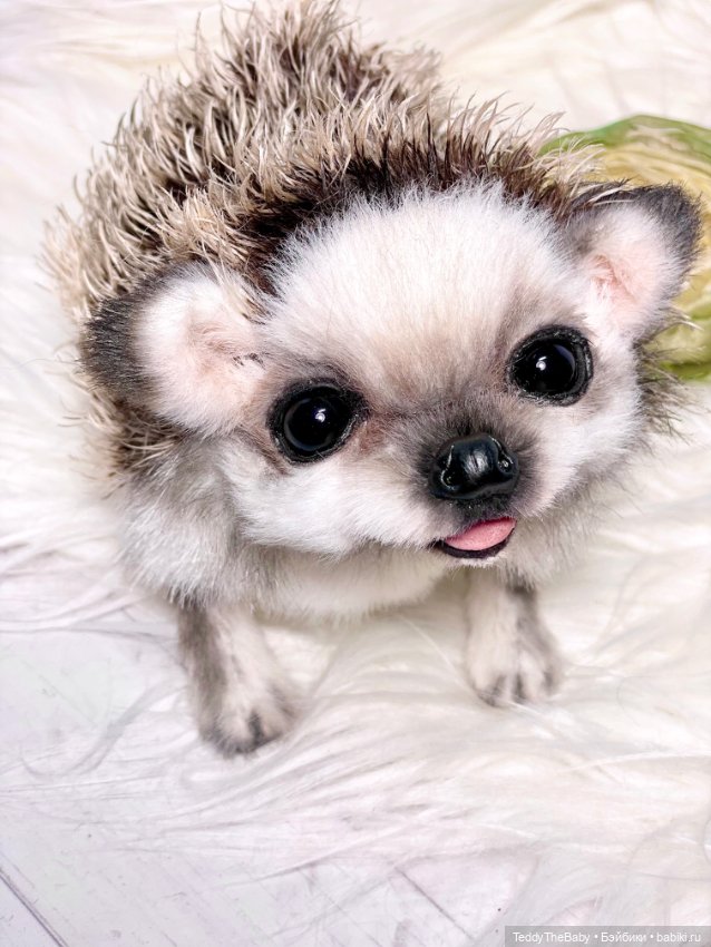 Sniff — Реалистичные игрушки и звери (Натюр): собаки