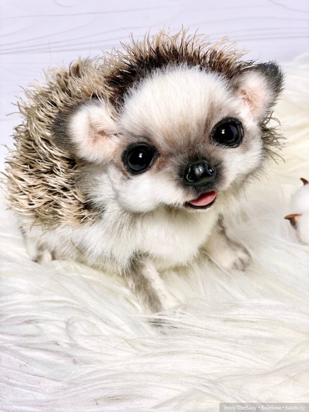 Sniff — Реалистичные игрушки и звери (Натюр): собаки