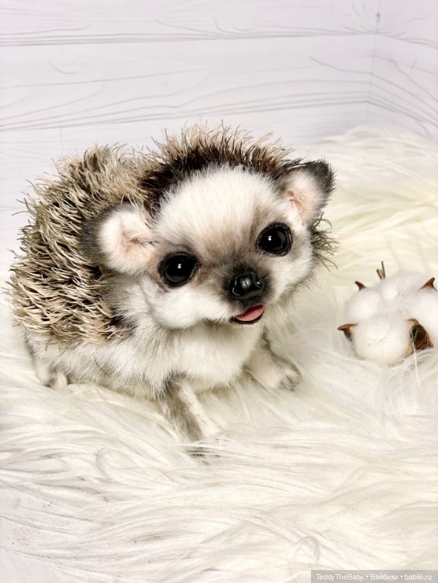 Sniff — Реалистичные игрушки и звери (Натюр): собаки