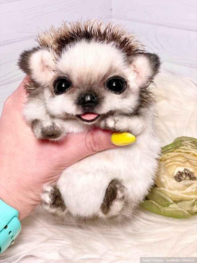 Sniff — Реалистичные игрушки и звери (Натюр): собаки