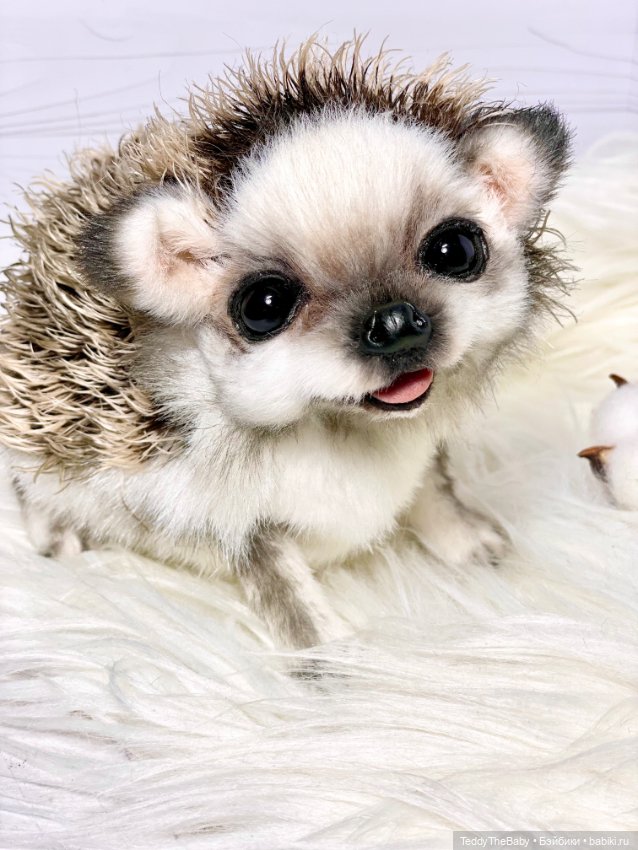 Sniff — Реалистичные игрушки и звери (Натюр): собаки