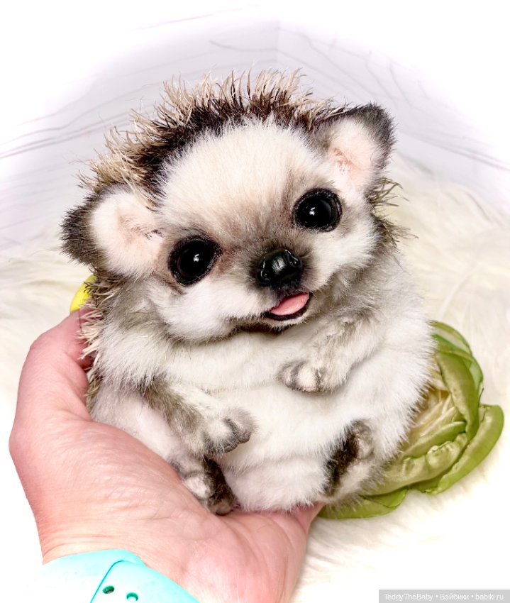 Sniff — Реалистичные игрушки и звери (Натюр): собаки