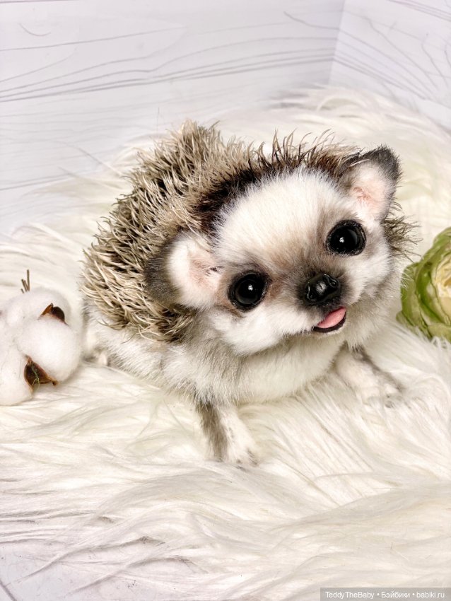 Sniff — Реалистичные игрушки и звери (Натюр): собаки