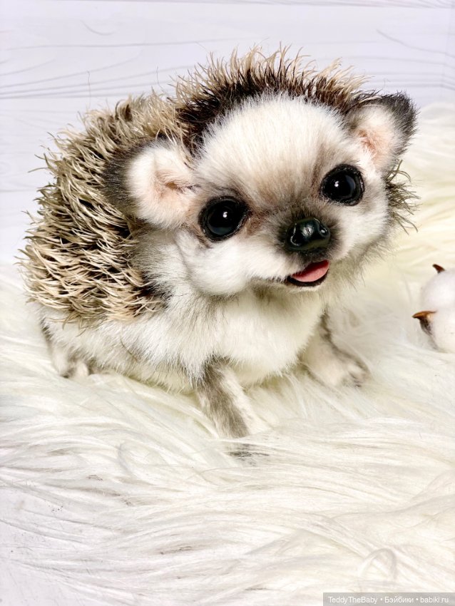 Sniff — Реалистичные игрушки и звери (Натюр): собаки