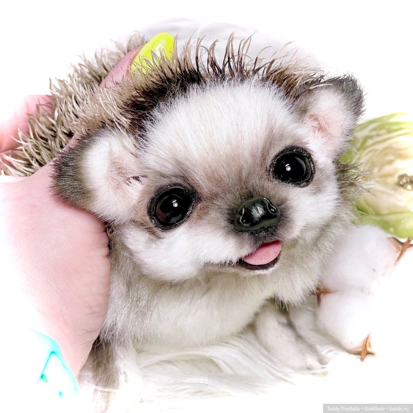 Sniff — Реалистичные игрушки и звери (Натюр): собаки (фото 3)