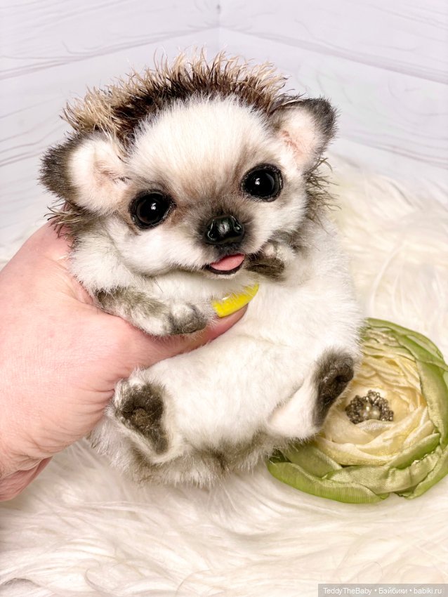 Sniff — Реалистичные игрушки и звери (Натюр): собаки