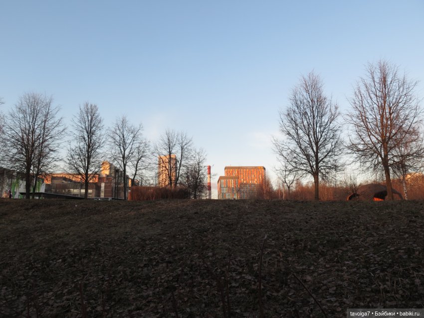 Паола Рейна Лиу с мятными волосами