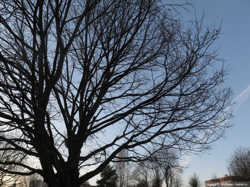 Паола Рейна Лиу с мятными волосами