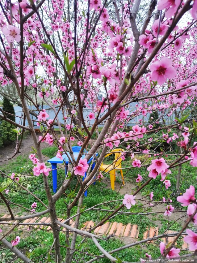 Весенняя Шарлотта⛅🌷 — Куклы (фото 3)