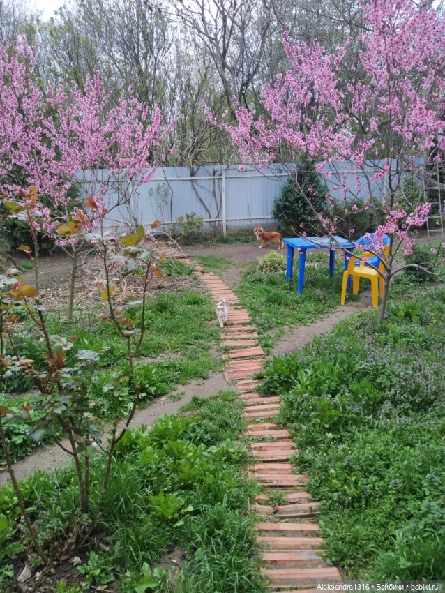 Весенняя Шарлотта⛅🌷 — Куклы (фото 5)