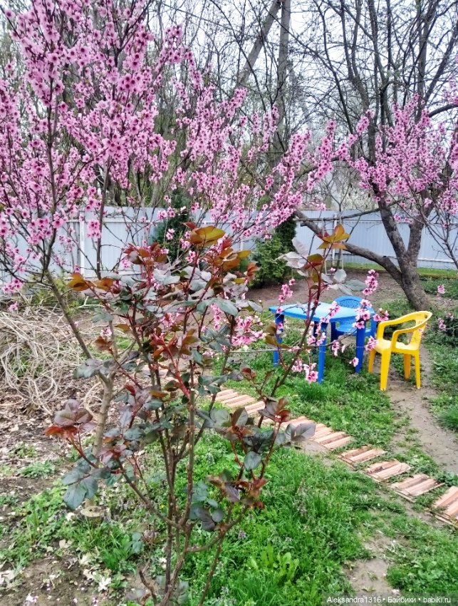 Весенняя Шарлотта⛅🌷 — Куклы