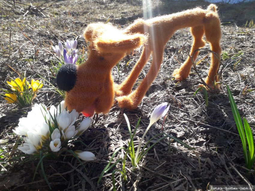 Шухер — Вязаные игрушки и амигуруми: крючком