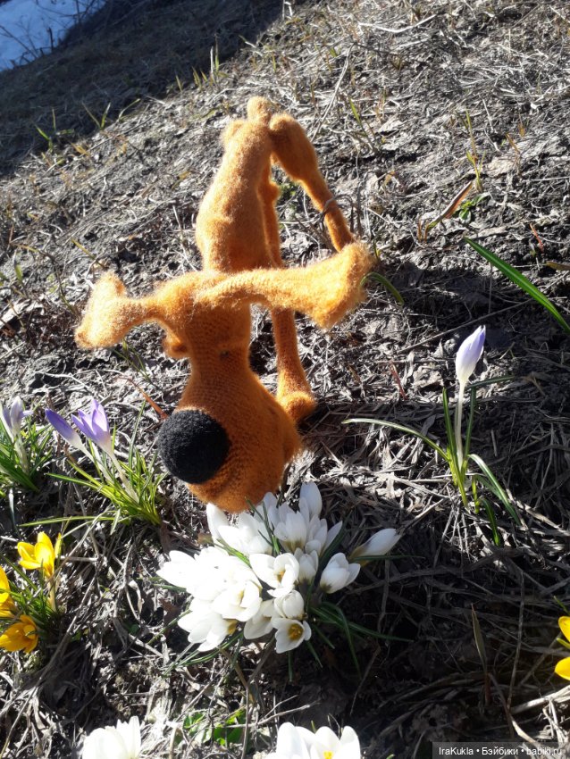 Шухер — Вязаные игрушки и амигуруми: крючком