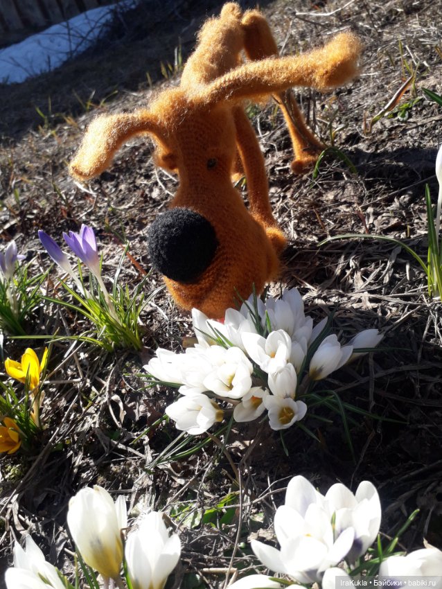 Шухер — Вязаные игрушки и амигуруми: крючком