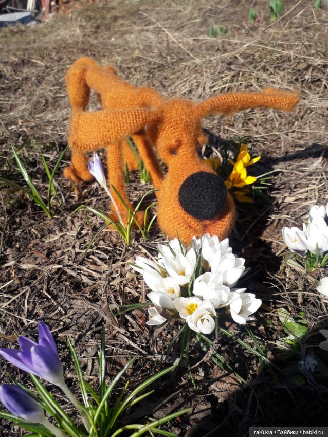 Шухер — Вязаные игрушки и амигуруми: крючком