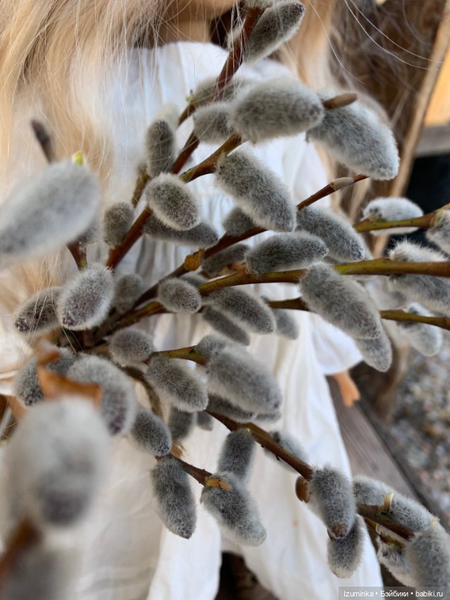 Вербное воскресение — Куклы Dianna Effner (Эффнер) из винила: Little Darling (фото 2)