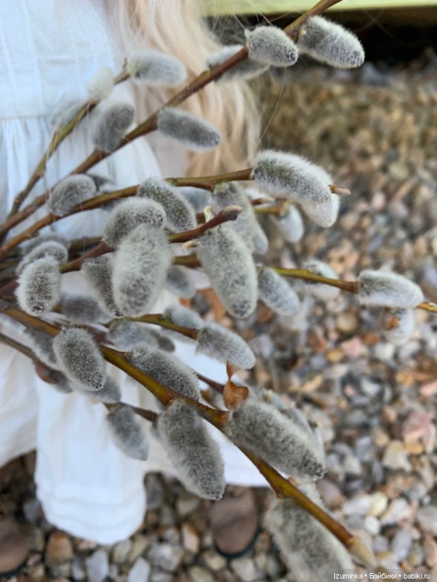 Вербное воскресение — Куклы Dianna Effner (Эффнер) из винила: Little Darling (фото 7)