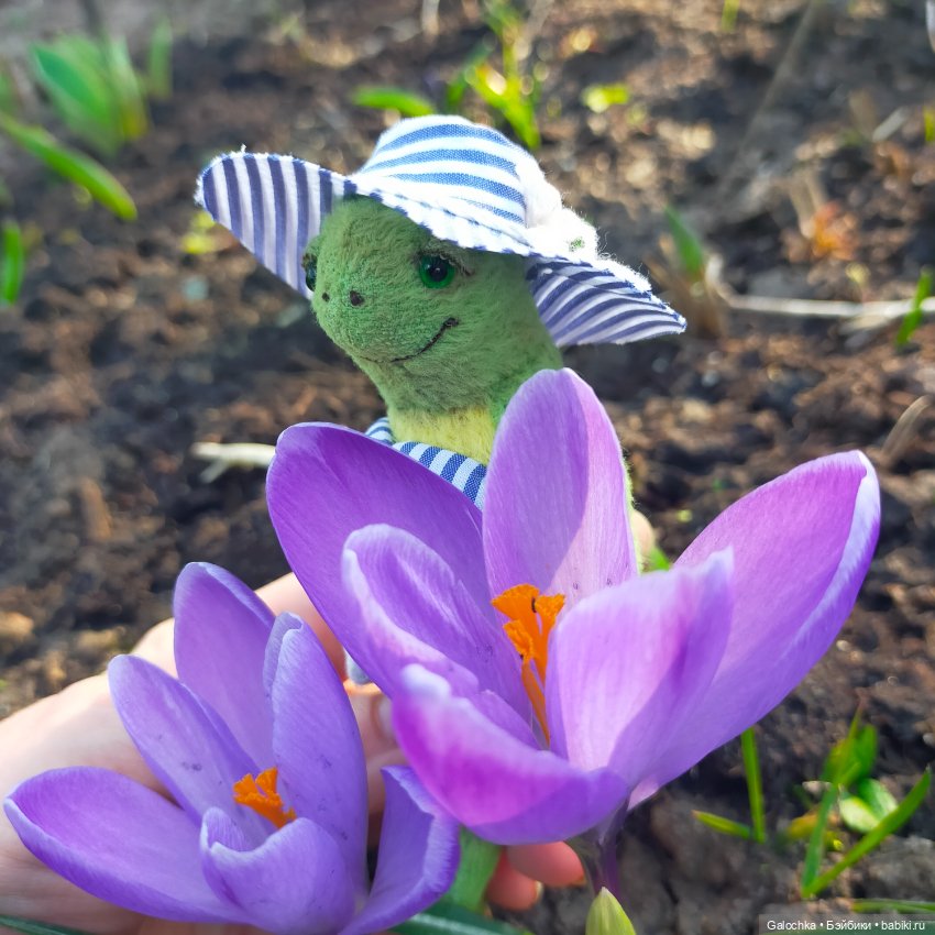 Топик благодарности — Домашние фото авторских игрушек: Тедди (фото 2)