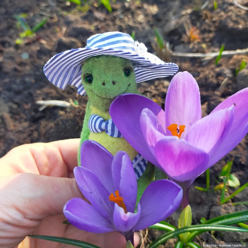 Топик благодарности — Домашние фото авторских игрушек: Тедди