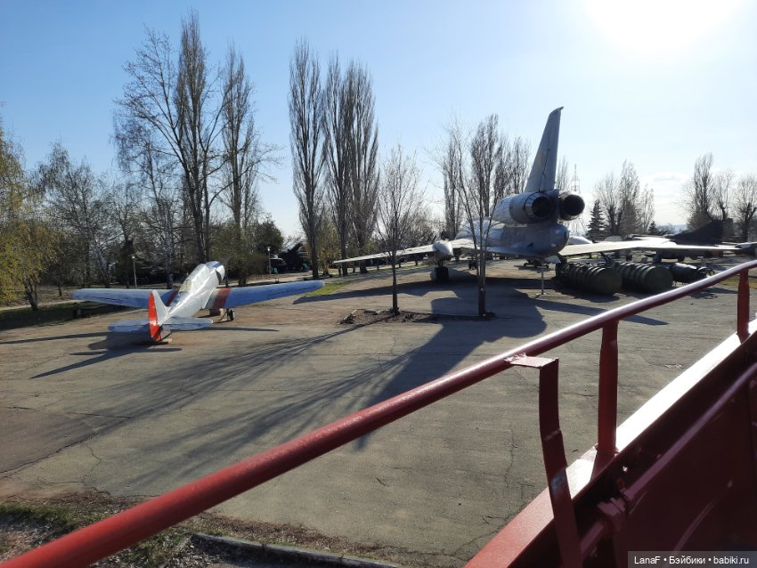 Весна в парке (пепита от Антонио Хуан) (фото 4)